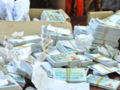 Jinsi ya Kujua Kama Namba ya NIDA Ipo Tayari 2026