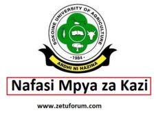 NAFASI Za Kazi Chuo Kikuu cha Sokoine cha Kilimo (SUA)