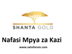 NAFASI Za Kazi Shanta Gold Mining Ltd