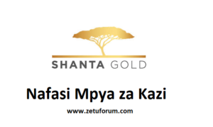 NAFASI Za Kazi Shanta Gold Mining Ltd