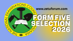 Form Five Selection Mkoa wa Manyara 2026