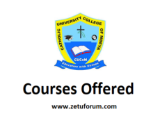 Kozi Zinazotolewa Na Chuo Kikuu cha Katoliki cha Mbeya (CUCoM Courses Offered) 2026/2027