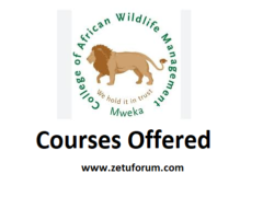 Kozi Zinazotolewa na Chuo Cha Mweka (CAWM Courses Offered) 2026/2027
