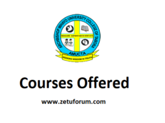 Kozi Zitolewazo na Chuo cha AMUCTA (AMUCTA Courses Offered)