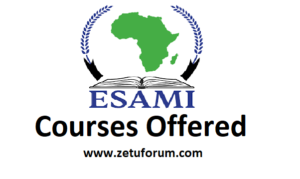 Kozi Zitolewazo na Chuo cha Eastern and Southern African Management Institute