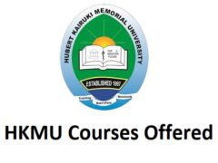 Kozi Zitolewazo na Chuo cha Hubert Kairuki Memorial University (HKMU Courses Offered)