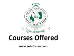 Kozi Zitolewazo na Chuo cha SUMAIT (SUMAIT Courses Offered)