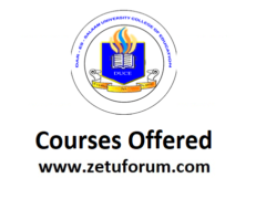 Kozi Zitolewazo na chuo cha DUCE (DUCE Courses Offered) 2026/2027