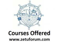 Kozi Zitolewazo na chuo cha Dar es Salaam Maritime Institute (DMI Courses Offered) 2026/2027