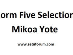 Majina Waliochaguliwa Kidato Cha Tano 2026/2027 | Form Five Selection