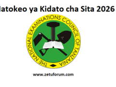 Matokeo ya Kidato cha Sita 2026/2027 (NECTA ACSEE Results 2026/2027)