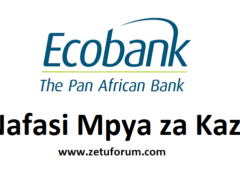 NAFASI Za Kazi Ecobank Tanzania Limited