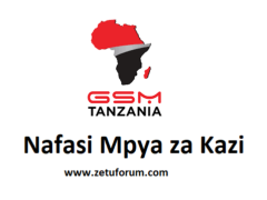 NAFASI Za Kazi GSM Group Tanzania