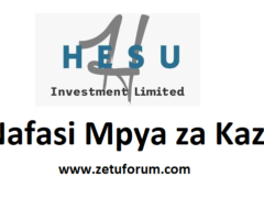 NAFASI za Kazi HESU Investment Limited