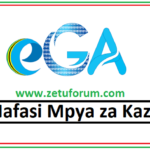 NAFASI za Kazi Mamlaka ya Serikali Mtandao (eGA)