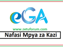 NAFASI za Kazi Mamlaka ya Serikali Mtandao (eGA)