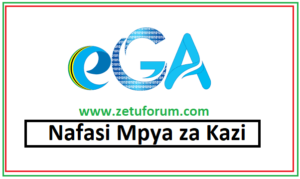 NAFASI za Kazi Mamlaka ya Serikali Mtandao (eGA)
