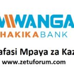 NAFASI za Kazi Mwanga Hakika Bank