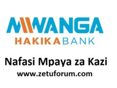 NAFASI za Kazi Mwanga Hakika Bank
