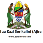 NAFASI za Kazi Serikalini (Ajira Portal) May 2026