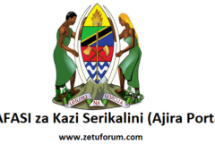 NAFASI za Kazi Serikalini (Ajira Portal) May 2026