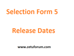 TAMISEMI: Selection Form 5 release Dates 2026/2027