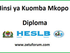 HESLB: Jinsi ya Kuomba Mkopo wa Chuo kwa Diploma 2026/2027