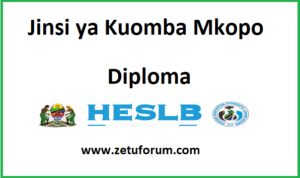 Jinsi ya Kuomba Mkopo wa Chuo kwa Diploma