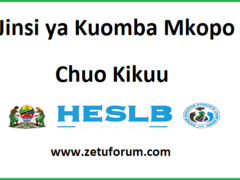 Jinsi ya Kuomba Mkopo wa Elimu ya Juu HESLB  2026