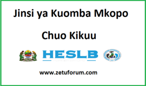 Jinsi ya Kuomba Mkopo wa Elimu ya Juu