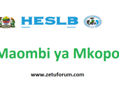 Jinsi ya Kutuma maombi ya Mkopo HESLB Kupitia OLAMS 2026/2027