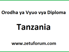 Orodha ya Vyuo vya Diploma Tanzania 2026/2027